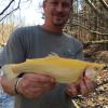 This is a beautiful Golden Rainbow Trout.